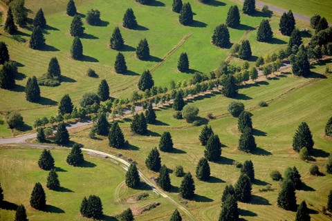 Aerial photograph, Schwarzenborn camp, tree meadow, Schwarzenborn, Hesse, Germany, Europe Aerial