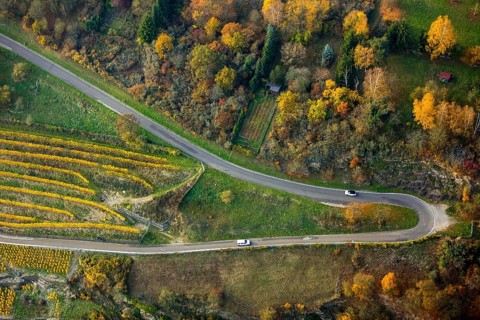 Serpentine roads in the vineyards of Oberwesel near Loreley, Rhine valley, Rhine wine, colourful