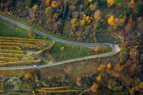 Serpentine roads in the vineyards of Oberwesel near Loreley, Rhine valley, Rhine wine, colourful