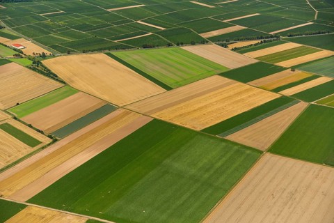 Fields near Mörstadt, agriculture, agriculture, Worms, Rhineland-Palatinate, Germany, Mörstadt,