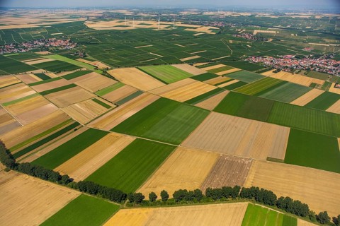 Fields near Mörstadt, agriculture, agriculture, villages, Worms, Rhineland-Palatinate, Germany,