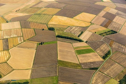 Harvested fields, small fields from inheritance divisions, agriculture, Aarbergen, Hesse, Germany,