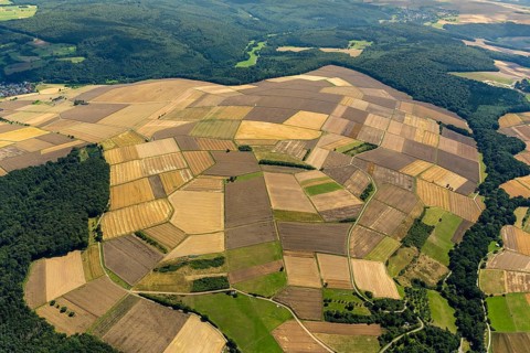 Harvested fields, small fields from inheritance divisions, agriculture, Aarbergen, Hesse, Germany,