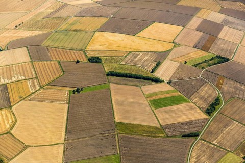 Harvested fields, small fields from inheritance divisions, agriculture, Aarbergen, Hesse, Germany,
