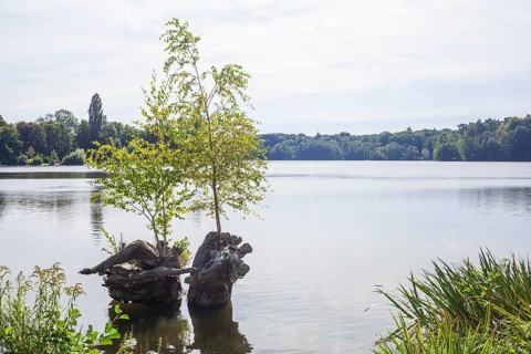 Outer mill pond in Harburg City Park, Harburg, Hamburg, Germany