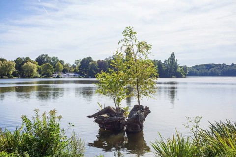 Outer mill pond in Harburg City Park, Harburg, Hamburg, Germany