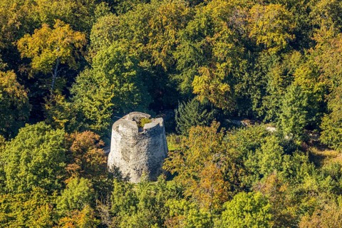Aerial photo, Iburg, ruin, Bad Driburg, Ostwestfalen-Lippe, North Rhine-Westphalia, Germany,