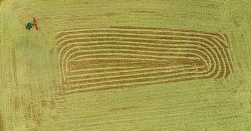Aerial view, agricultural fields, hay harvest, tractor mowing meadow, Liboriweg, Balve, Sauerland,