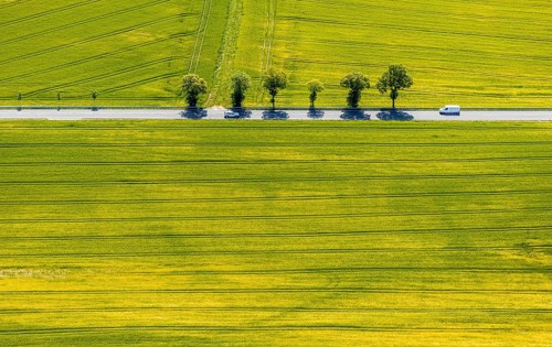 Aerial view, row of trees on country road, federal road 229, Langenholthausen, Balve, Sauerland,