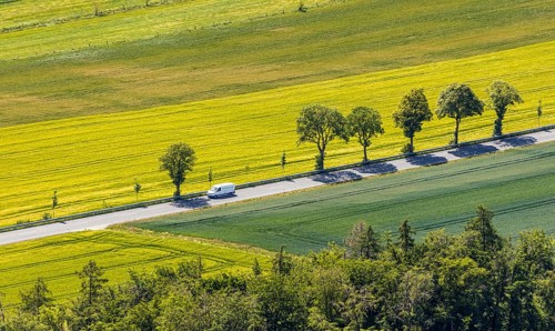 Aerial view, row of trees on country road, federal road 229, Langenholthausen, Balve, Sauerland,
