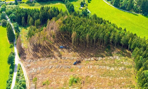 Aerial photo, deforestation, harvester, nature reserve Eidmecketalsystem, Bestwig, Sauerland, North