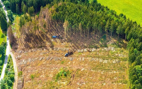 Aerial photo, deforestation, harvester, nature reserve Eidmecketalsystem, Bestwig, Sauerland, North