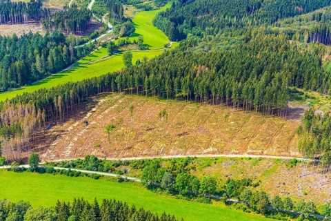 Aerial photo, deforestation, harvester, nature reserve Eidmecketalsystem, Bestwig, Sauerland, North