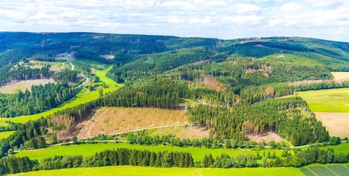 Aerial photo, deforestation, harvester, nature reserve Eidmecketalsystem, Bestwig, Sauerland, North