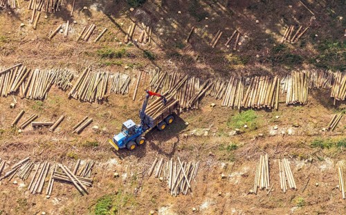 Aerial photo, deforestation, harvester, nature reserve Eidmecketalsystem, Bestwig, Sauerland, North