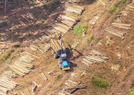 Aerial photo, deforestation, harvester, nature reserve Eidmecketalsystem, Bestwig, Sauerland, North