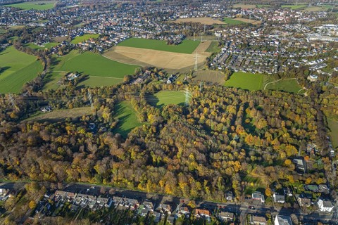 Weitmarer Holz, Weitmar-Mark, Bochum, Ruhr area, North Rhine-Westphalia, Germany, DE, Europe,