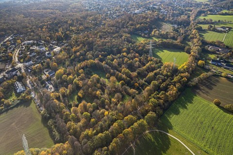 Weitmarer Holz, Weitmar-Mark, Bochum, Ruhr area, North Rhine-Westphalia, Germany, DE, Europe,