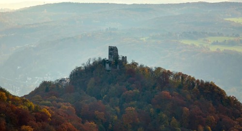 Drachenfels castle ruins, Rhine valley, Rhine, colourful autumn leaves, autumn forest,