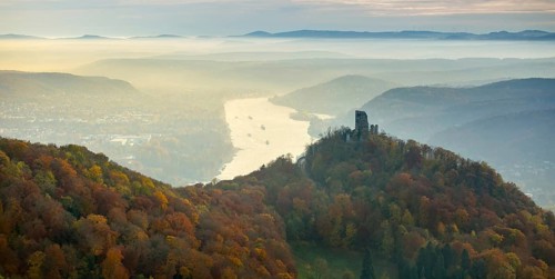 Drachenfels castle ruins against the backdrop of the Rhine, Rhine valley, Rhine, colourful autumn