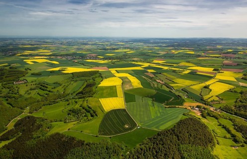 Agricultural fields and rape fields near Heimbach, Heimbach, Eifel, North Rhine-Westphalia,