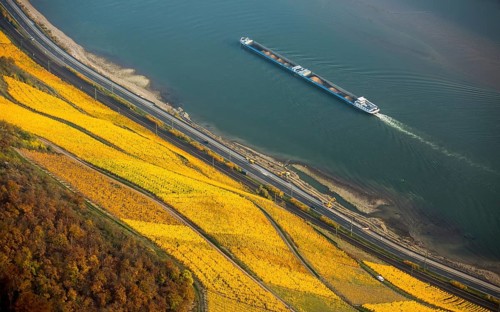 Rhine valley on the left bank of the Rhine with vineyards and autumn leaves, steep vineyards, paths
