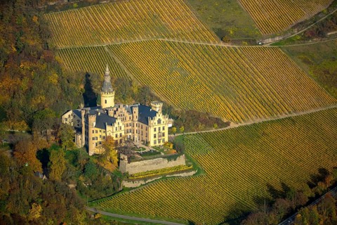 Vineyards in autumn, vine leaves, late harvest, Arensfels Castle, owned by Baron Antonius Geyr von