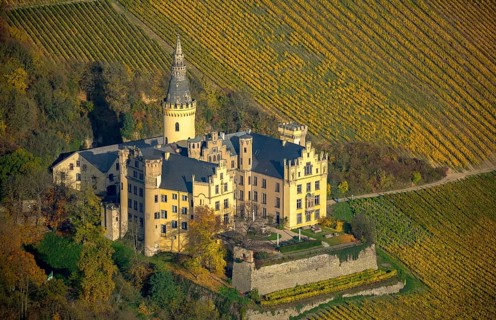 Vineyards in autumn, vine leaves, late harvest, Arensfels Castle, owned by Baron Antonius Geyr von