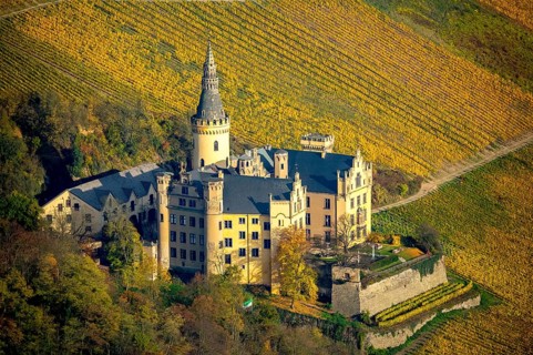 Vineyards in autumn, vine leaves, late harvest, Arensfels Castle, owned by Baron Antonius Geyr von