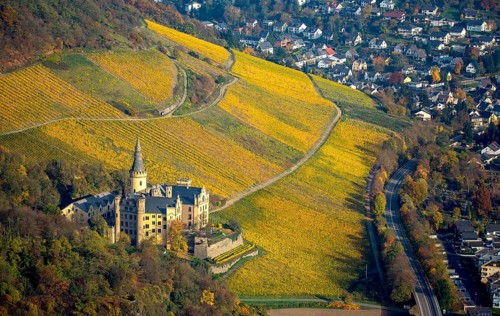 Vineyards in autumn, vine leaves, late harvest, Arensfels Castle, owned by Baron Antonius Geyr von