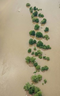 Aerial photograph, Ruhr floods, rows of trees in the Ruhr water, flooding, Blankenstein, Hattingen,