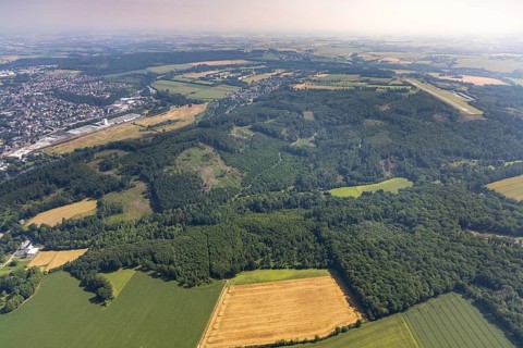 Aerial view, forest damage, forest damage at Mühlenbach, Wimbern, Wickede, Sauerland, North