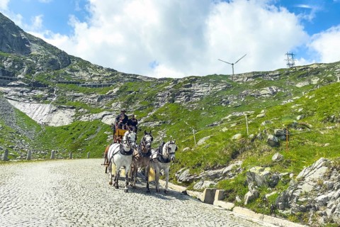 Old historic horse-drawn carriage with double team of five horses for tourist ride on historic St.