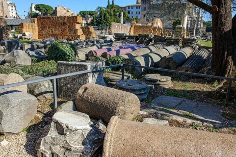 Fragments of ancient columns collected on the floor of the Roman Forum, Roman Forum, Rome, Lazio,