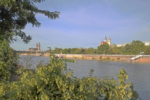 Cityscape with Gothic cathedral, New River Bridge and late Romanesque St. Johannis Church, church