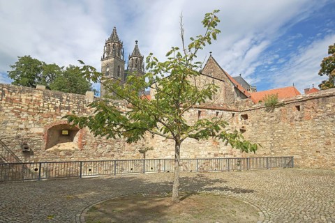 Medieval bastion Cleve with defence defence tower Cleve and Gothic Magdeburg Cathedral, St.