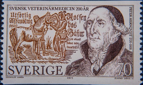 Peter Hernqvist (1726-1808), a Swedish professor and veterinarian – the father of Swedish