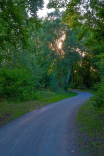 View along the cycle path along the Mittelland Canal Hanover Garbsen, Hanover, Lower Saxony,