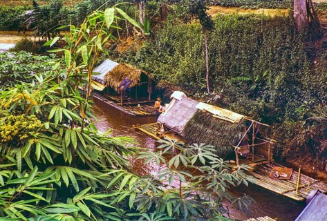 People living in homes on river house rafts, Sungai Perdak, Pahanh, Bentong district, Malaya,