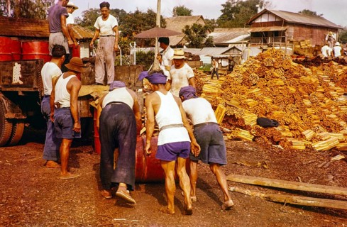 Male workers loading metal fuel drums onto back of lorry in timber yard, Johor Bahru, Johor,