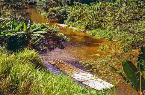 Bamboo ferry raft Pahnag river, Bentong district, Malaya, Malaysia, south east Asia 1963 captioned