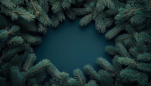 Botanical Trendy Ure With Frame: Dark Moody Fir Tree Overhead In Creative Nature Foliage Layout.
