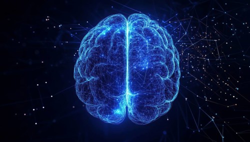 Understanding The Interaction Between The Left And Right Human Brain With Blue Light And Neural