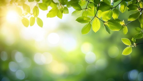 Springtime Bliss: Blurred Foliage And Sky With Bright Bokeh, Sunshine Filtering Through Green
