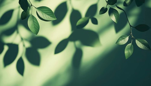 Realistic Overlay Effect Of Tree Leaves Shadows: A Decorative Element Perfect For Presentations And
