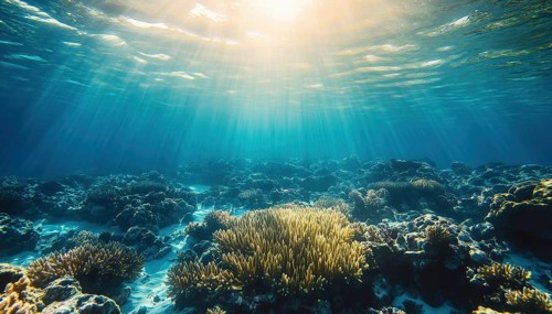 Exploring The Vibrant Underwater World Of The Maldives: Stunning Coral Reef, Crystal Clear Blue