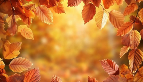 Thanksgiving And Autumn: A Beautiful Frame Of Autumn Leaves - Perfect For Embracing The Season'S