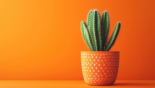Trendy Summer Green Cactus In Decor Pot On Bright Orange Pastel Background: Contemporary Pop Art
