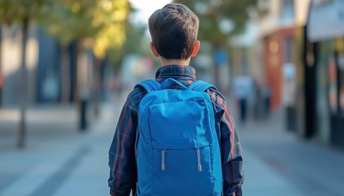 Schoolboy Heading To School With Backpack On Back. Student Carrying School Bag Pack. Back View Of