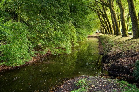 Tree-lined ditch, Senden Castle, Senden, North Rhine-Westphalia, Germany